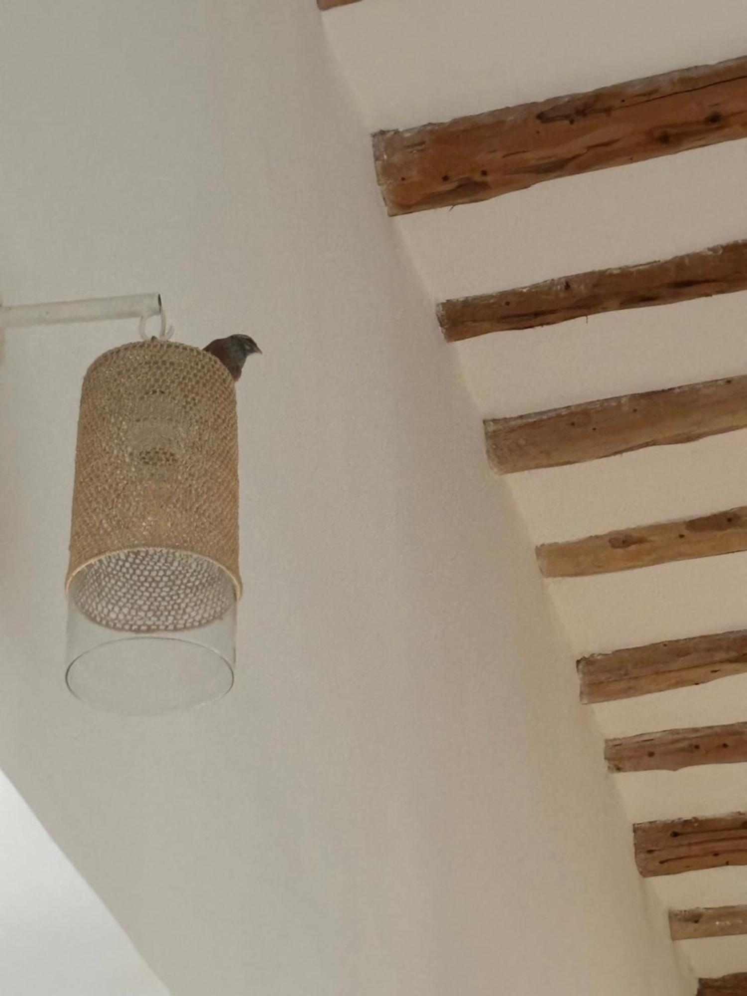 Neroli Le Riad, Idealement Situe Villa Marrakesh