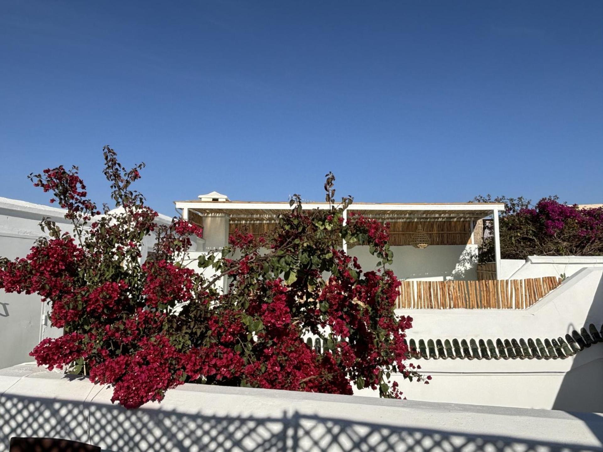 Neroli Le Riad, Idealement Situe * Marrakesh