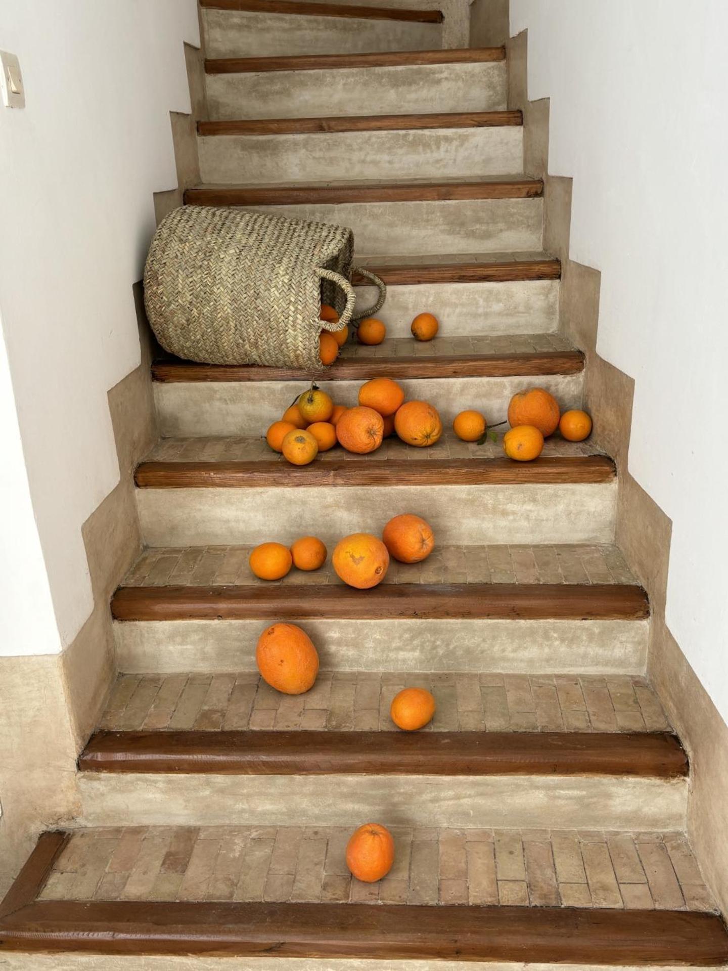 Neroli Le Riad, Idealement Situe Villa Marrakesh